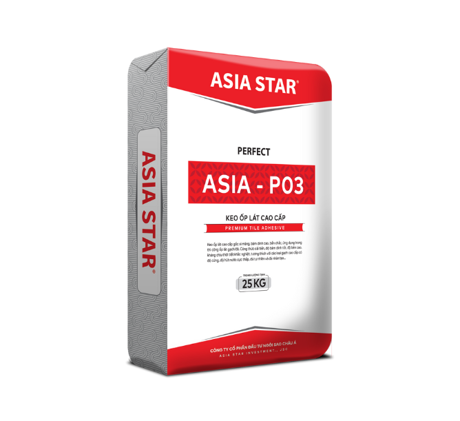 PERFECT ASIA - P03 - Keo ốp lát cao cấp tiêu chuẩn C2 ( màu xám )